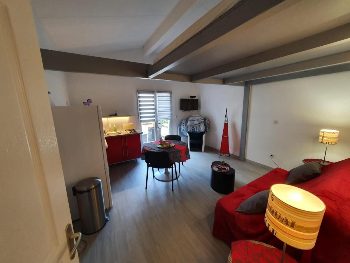 Dormir A Montauban Logements Carreyrat Calme Et Verdoyant Exteriör bild