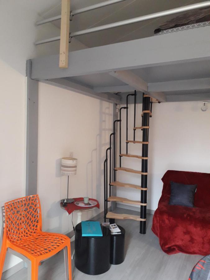 Dormir A Montauban Logements Carreyrat Calme Et Verdoyant Exteriör bild