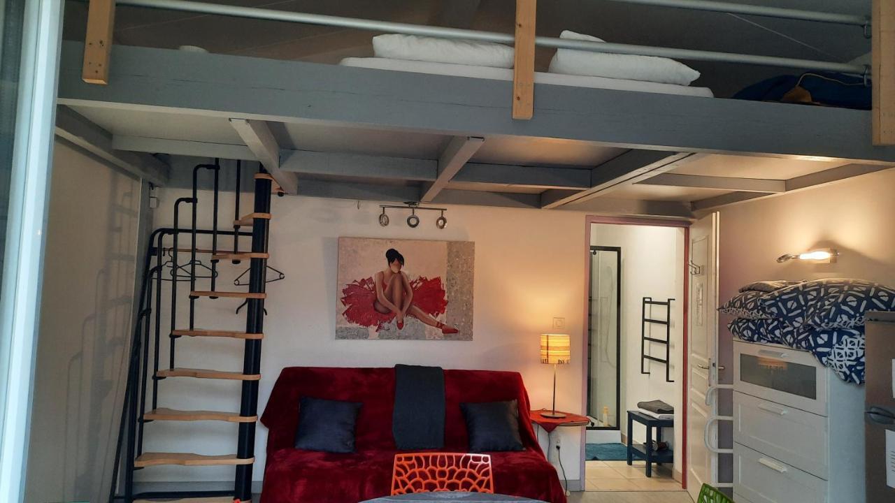 Dormir A Montauban Logements Carreyrat Calme Et Verdoyant Exteriör bild
